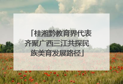桂湘黔教育界代表齐聚广西三江共探民族美育发展路径