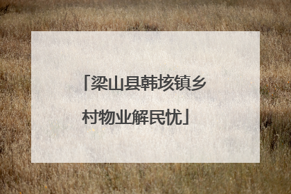 梁山县韩垓镇乡村物业解民忧