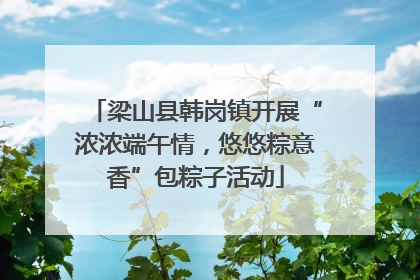 梁山县韩岗镇开展“浓浓端午情，悠悠粽意香”包粽子活动