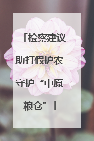 检察建议助打假护农守护“中原粮仓”