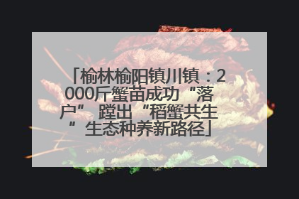 榆林榆阳镇川镇：2000斤蟹苗成功“落户” 蹚出“稻蟹共生”生态种养新路径
