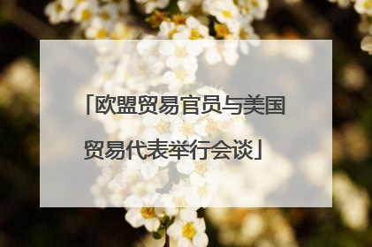 欧盟贸易官员与美国贸易代表举行会谈