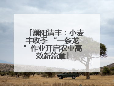 濮阳清丰：小麦丰收季 “一条龙”作业开启农业高效新篇章