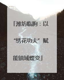 潍坊临朐：以“绣花功夫”赋能镇域蝶变
