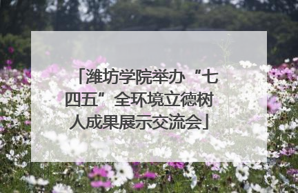潍坊学院举办“七四五”全环境立德树人成果展示交流会