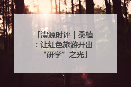 澧源时评｜桑植：让红色旅游开出“研学”之光