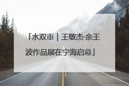水双重｜王敏杰·余王波作品展在宁海启幕