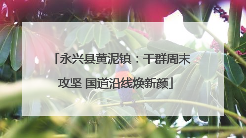 永兴县黄泥镇：干群周末攻坚 国道沿线焕新颜