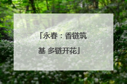 永春：香链筑基 多链开花