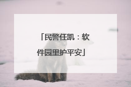 民警任凯：软件园里护平安