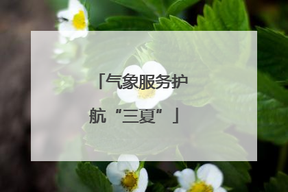 气象服务护航“三夏”