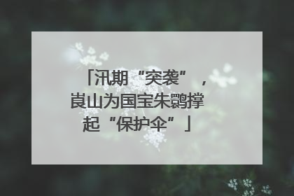 汛期“突袭”，崀山为国宝朱鹮撑起“保护伞”