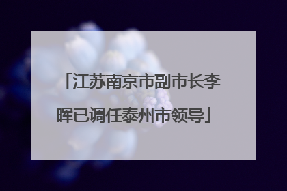 江苏南京市副市长李晖已调任泰州市领导