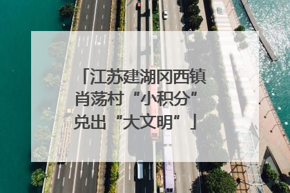 江苏建湖冈西镇肖荡村“小积分”兑出“大文明”