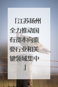 江苏扬州全力推动国有资本向重要行业和关键领域集中
