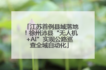 江苏首例县域落地！徐州沛县“无人机+AI”实现公路巡查全域自动化