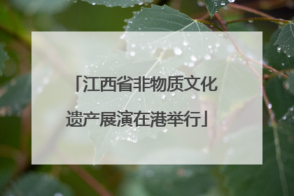江西省非物质文化遗产展演在港举行