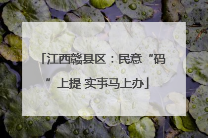 江西赣县区：民意“码”上提 实事马上办