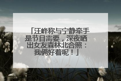 汪峰称与宁静牵手是节目需要，深夜晒出女友森林北合照：我俩好着呢！