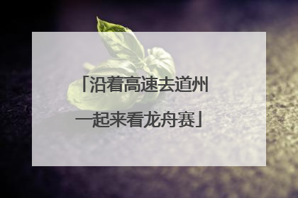 沿着高速去道州 一起来看龙舟赛
