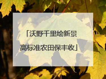 沃野千里绘新景 高标准农田保丰收