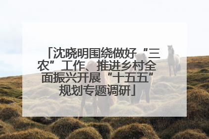 沈晓明围绕做好“三农”工作、推进乡村全面振兴开展“十五五”规划专题调研