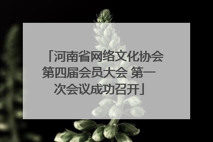 河南省网络文化协会第四届会员大会 第一次会议成功召开