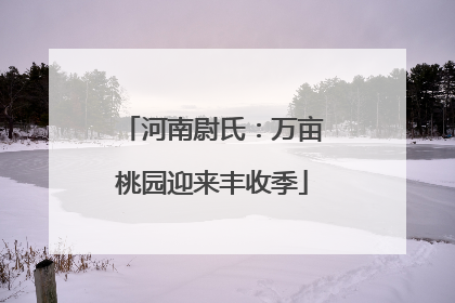 河南尉氏：万亩桃园迎来丰收季