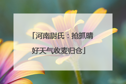 河南尉氏：抢抓晴好天气收麦归仓
