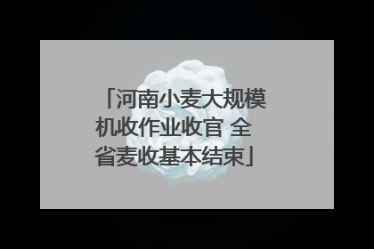 河南小麦大规模机收作业收官 全省麦收基本结束