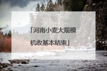 河南小麦大规模机收基本结束