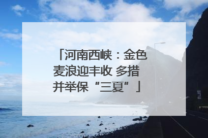 河南西峡：金色麦浪迎丰收 多措并举保“三夏”