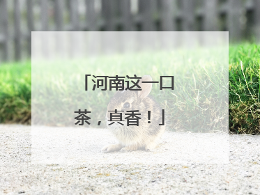 河南这一口茶，真香！