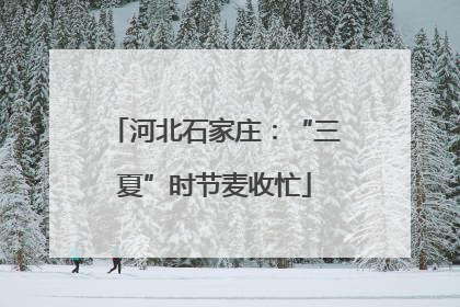 河北石家庄：“三夏”时节麦收忙