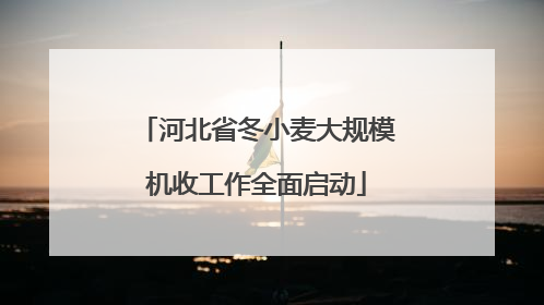 河北省冬小麦大规模机收工作全面启动