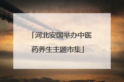河北安国举办中医药养生主题市集