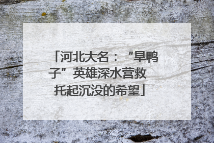 河北大名：“旱鸭子”英雄深水营救 托起沉没的希望