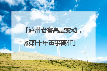 泸州老窖高层变动，履职十年董事离任