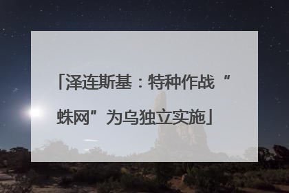 泽连斯基：特种作战“蛛网”为乌独立实施