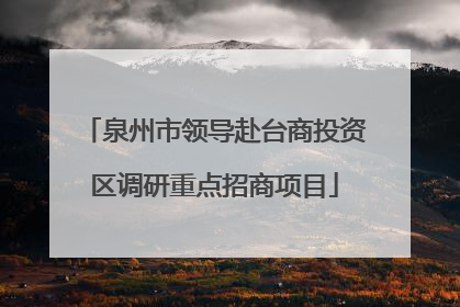 泉州市领导赴台商投资区调研重点招商项目