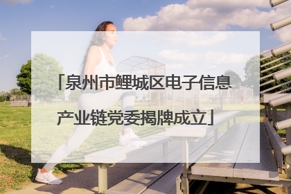 泉州市鲤城区电子信息产业链党委揭牌成立