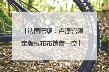 法国巴黎：卢浮宫限定版拉布布销售一空