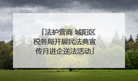 法护营商 城阳区税务局开展民法典宣传月进企送法活动