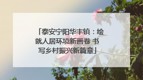 泰安宁阳华丰镇：绘就人居环境新画卷 书写乡村振兴新篇章