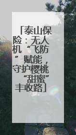 泰山保险：无人机“飞防”赋能，守护樱桃“甜蜜”丰收路