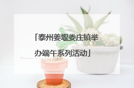 泰州姜堰娄庄镇举办端午系列活动