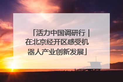 活力中国调研行｜在北京经开区感受机器人产业创新发展
