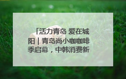 活力青岛 爱在城阳｜青岛尚小咖咖啡季启幕，中韩消费新场景点燃夏日热情