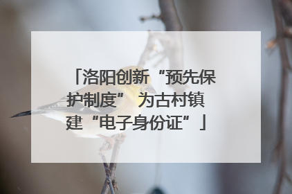 洛阳创新“预先保护制度” 为古村镇建“电子身份证”