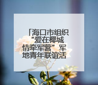 海口市组织“爱在椰城 情牵军营”军地青年联谊活动